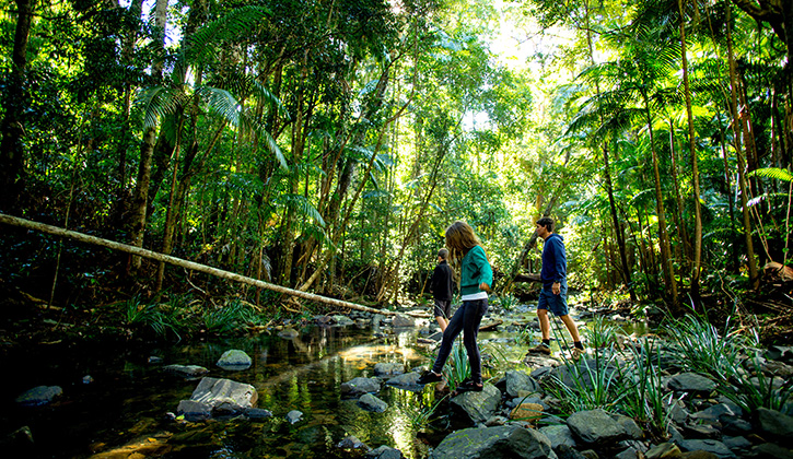 man and woman walking through a forest in Stuarts Point