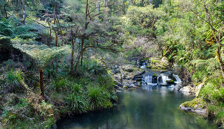 Cottan Bimbang National Park